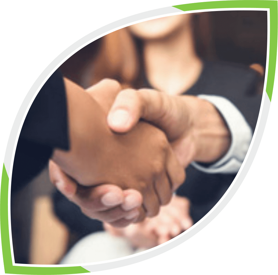 LMP Consultancy Program